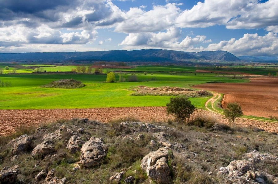 Corredor de La Bureba, Burgos