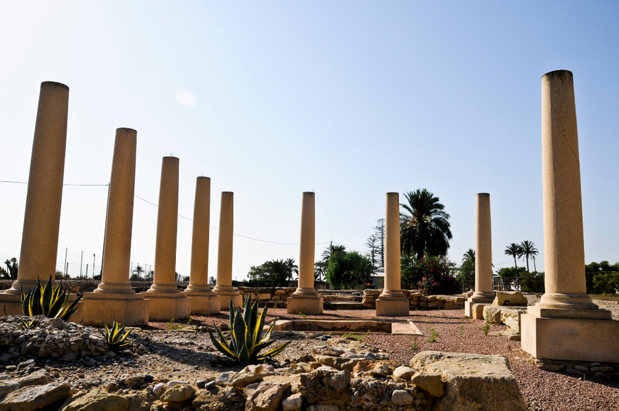 Yacimiento de La Alcudia