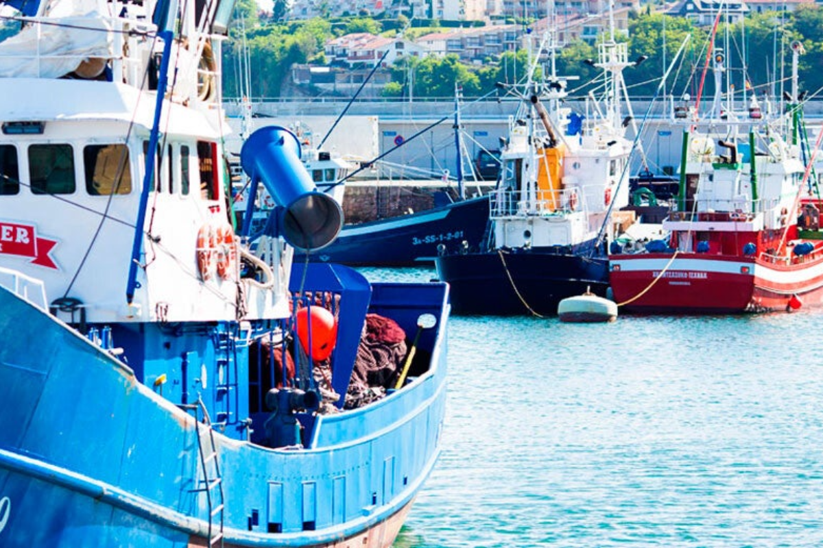 Zona del puerto, Hondarribia