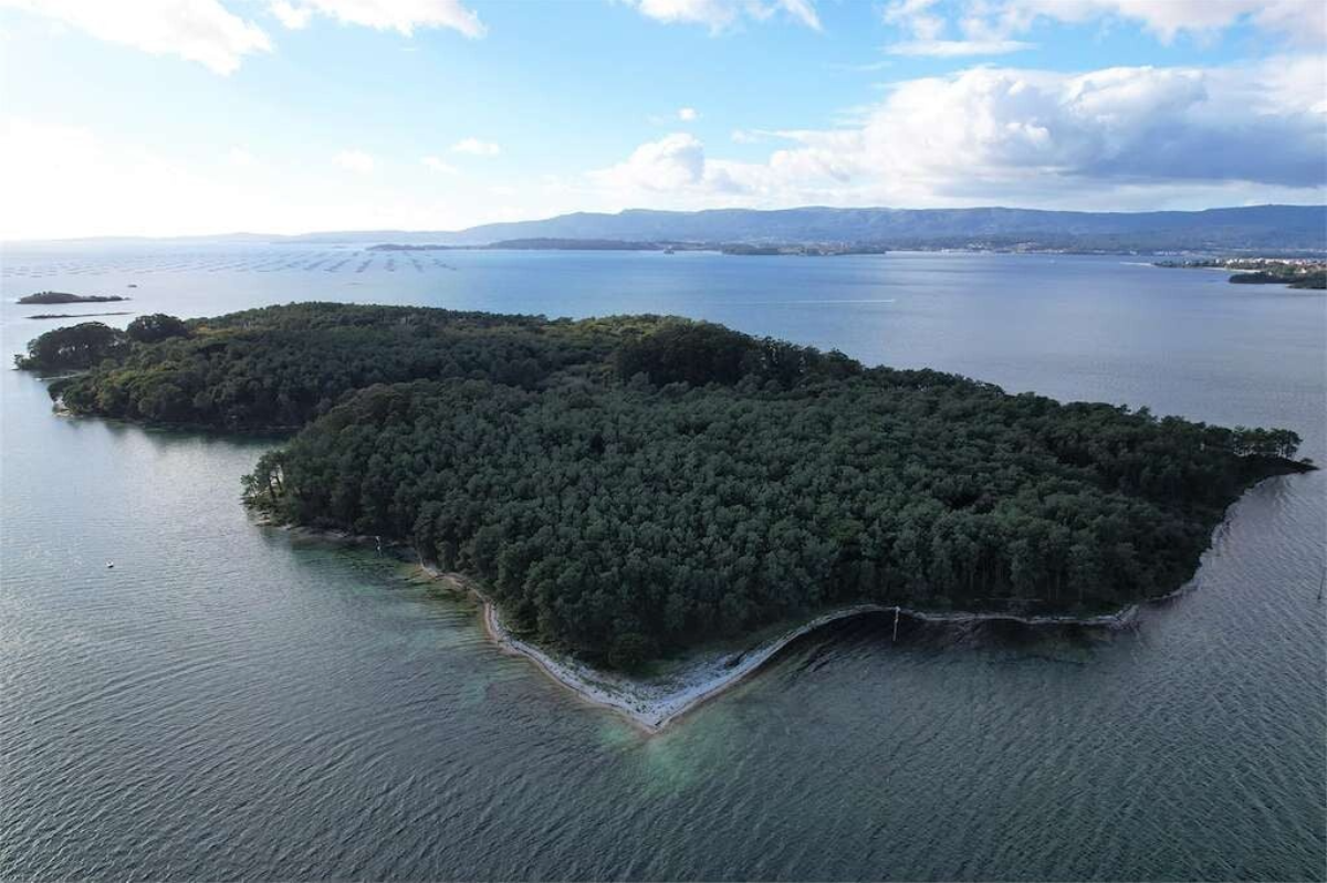 bosque de laureles de la Isla de Cortegada es conocido como el "bosque flotante"
