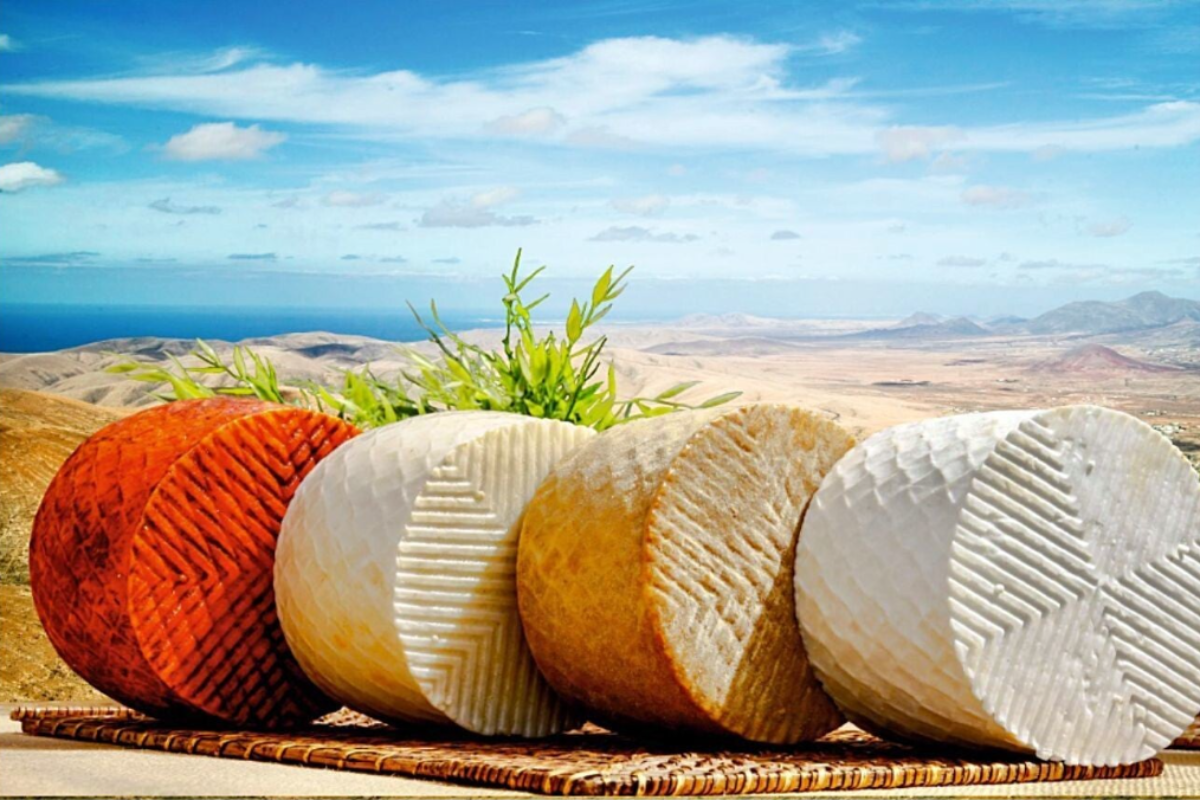 Queso majorero DOP Elaborado con leche de cabra, curado con pimentón, gofio o aceite. 