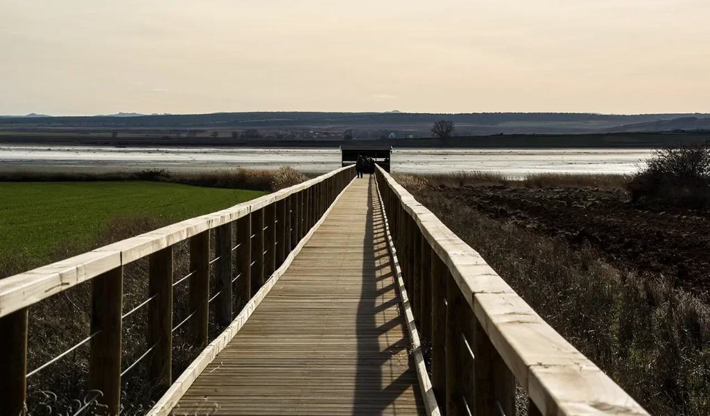 Laguna de Gallocanta