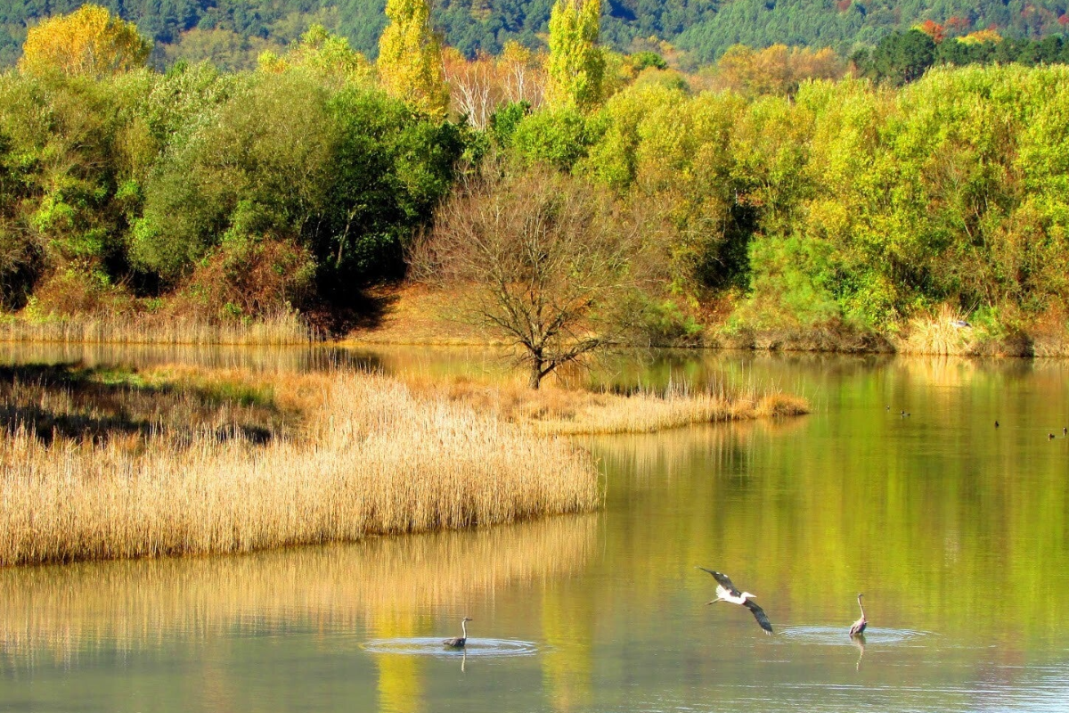 Parque de Plaiaundi