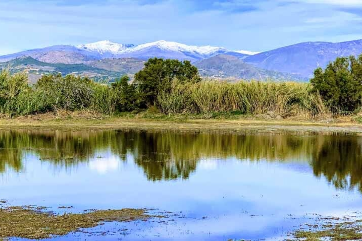 Paraje Natural de las Zonas Húmedas de Motril
