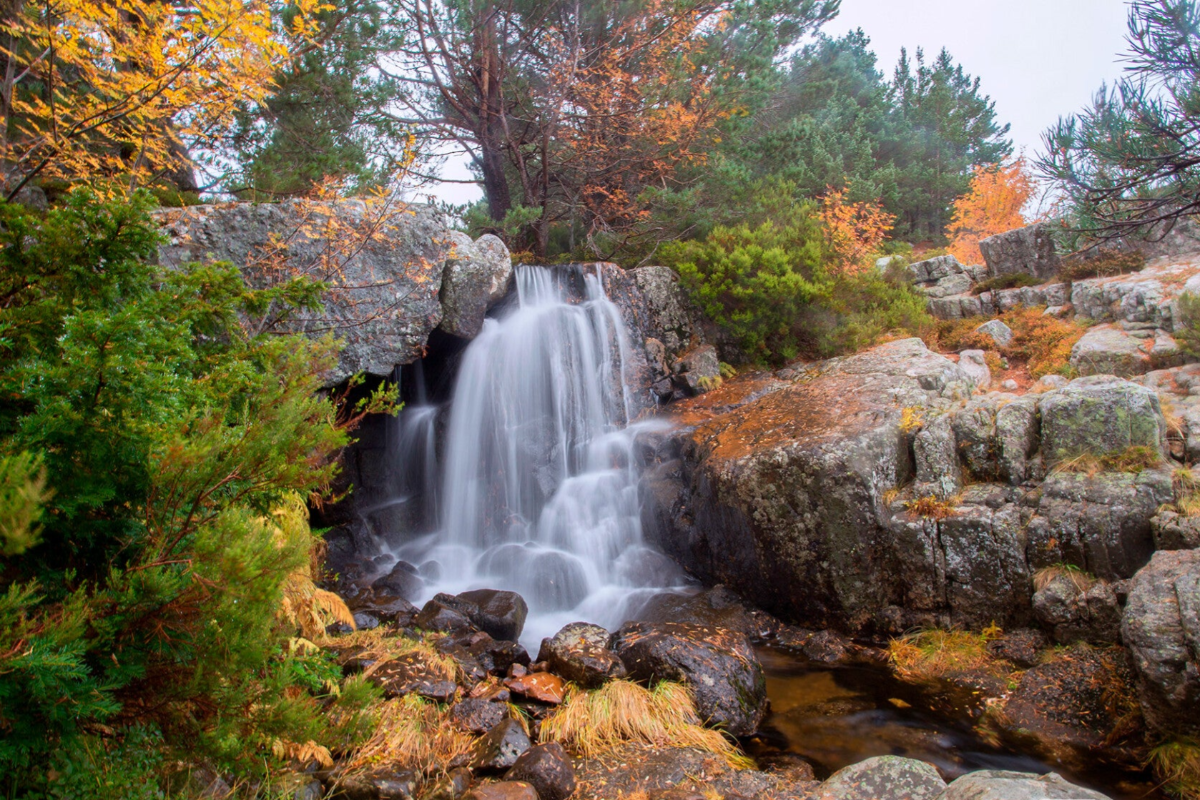 Comarca de Pinares, Soria