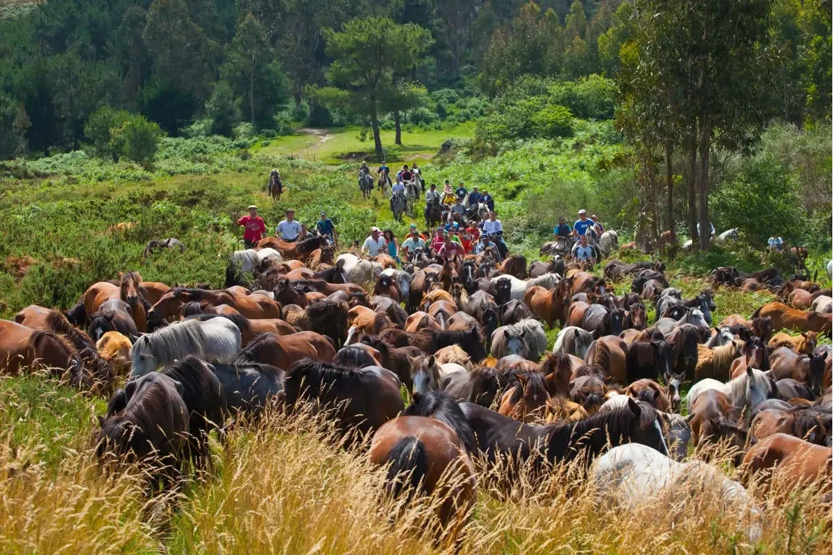 Subida al monte para la Rapa das Bestas