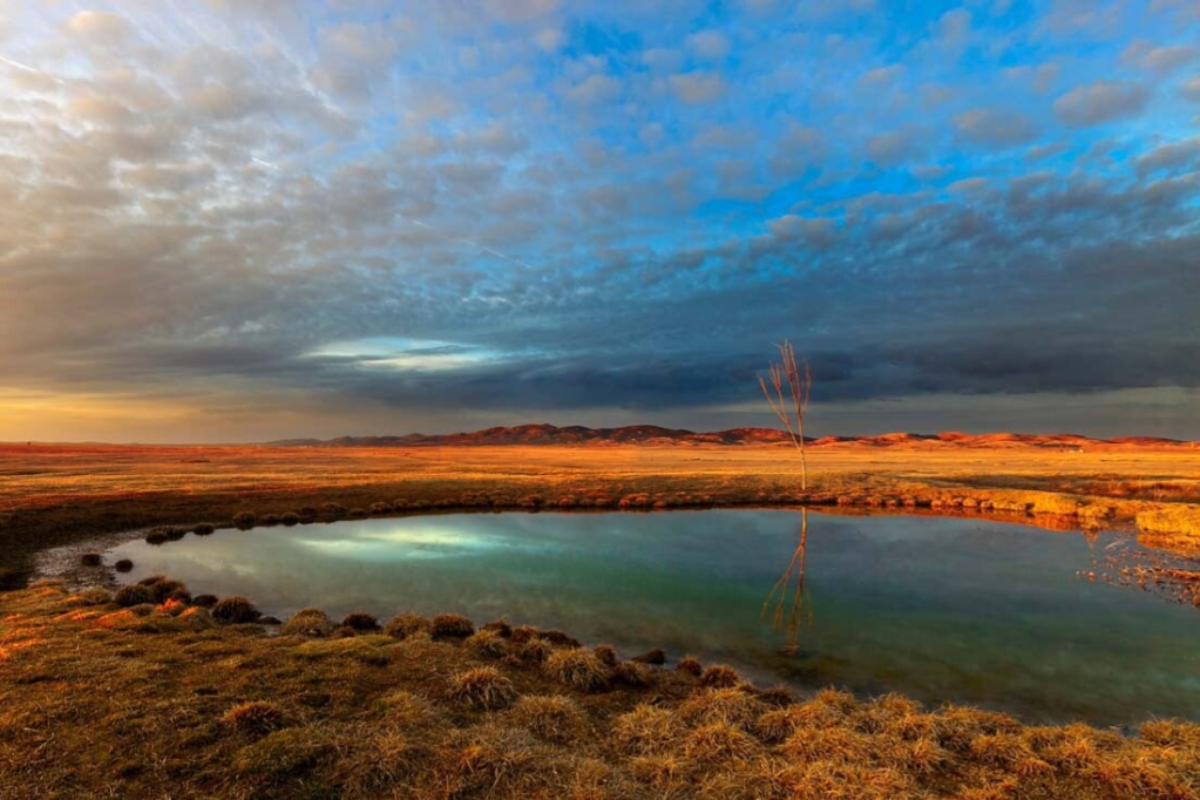 La Laguna de Gallocanta Aragon