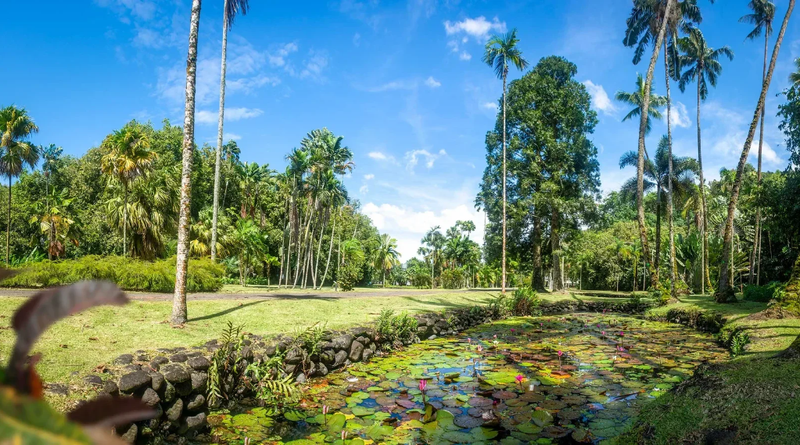 Jardín Botánico de Papeari