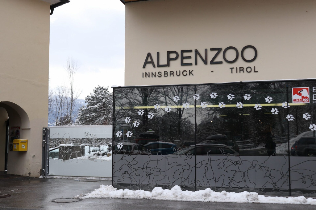 Alpenzoo: el zoológico de los Alpes