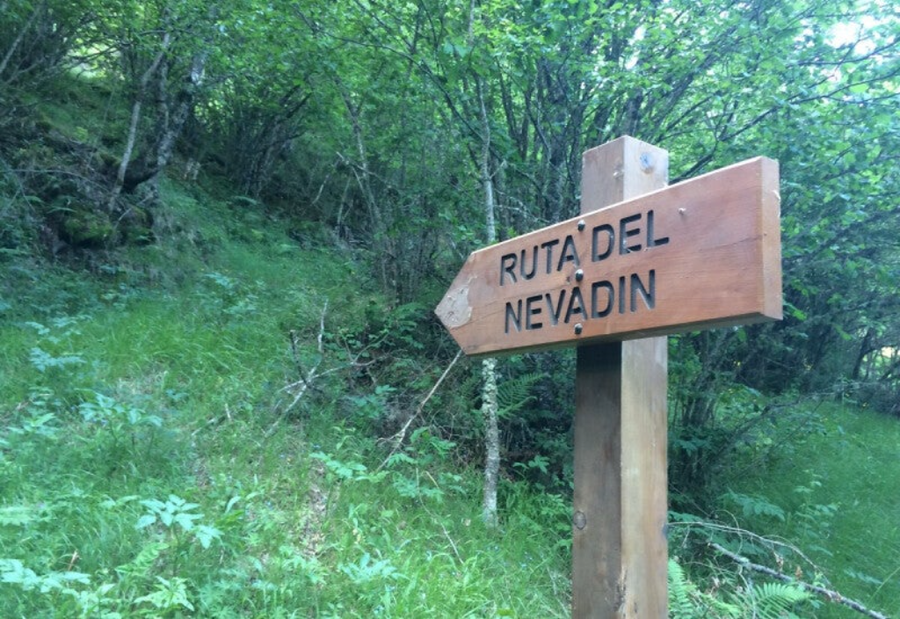 ruta del nevadin