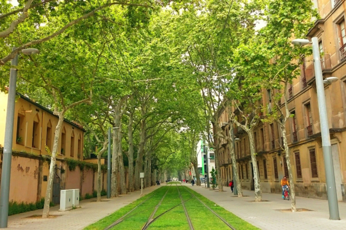 Paseo árbolado Poblenou