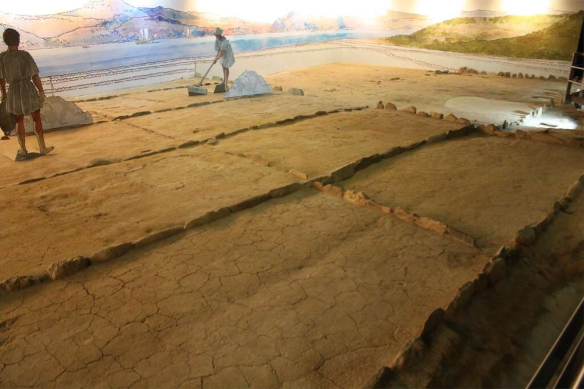 Centro Arqueológico Salinae es un yacimiento único en Vigo, ya que conserva la única salina romana de evaporación solar musealizada del Imperio Romano