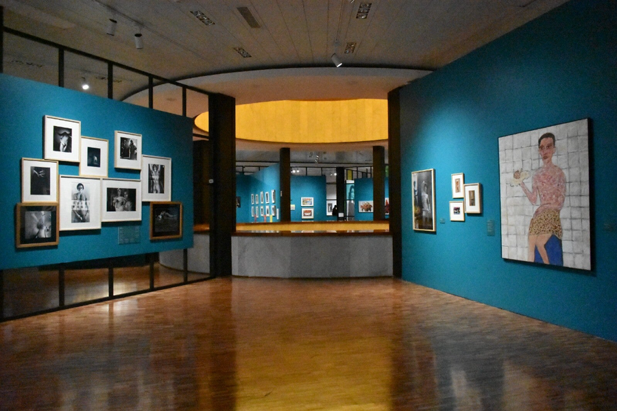 Museo de Arte Moderno de Troyes