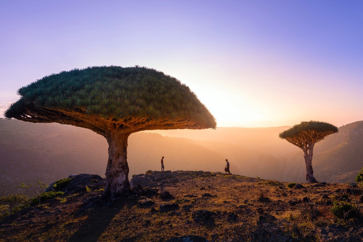 Socotra, Yemen