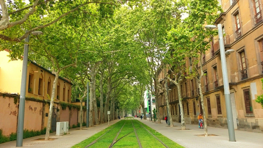 Paseo árbolado Poblenou