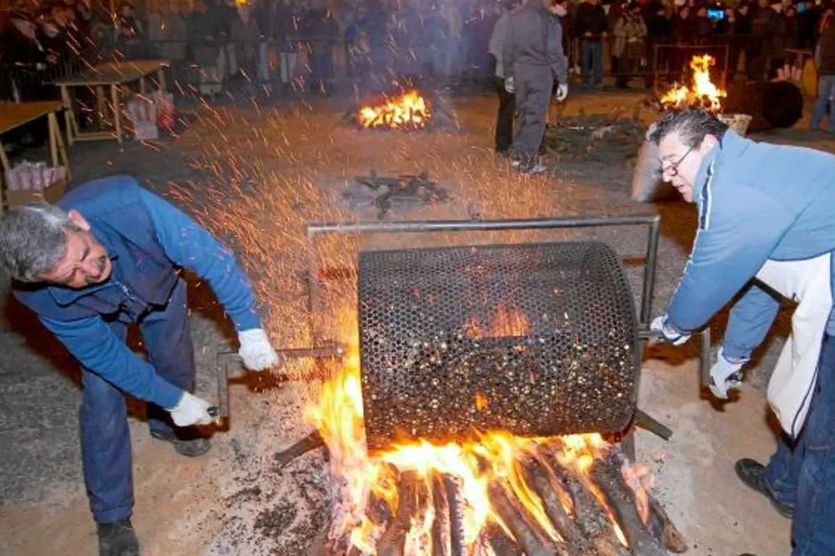 Mangosto en Galicia