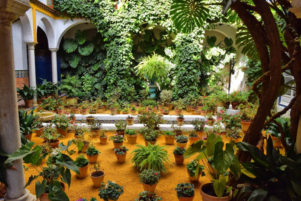 Barrio de Santa Cruz