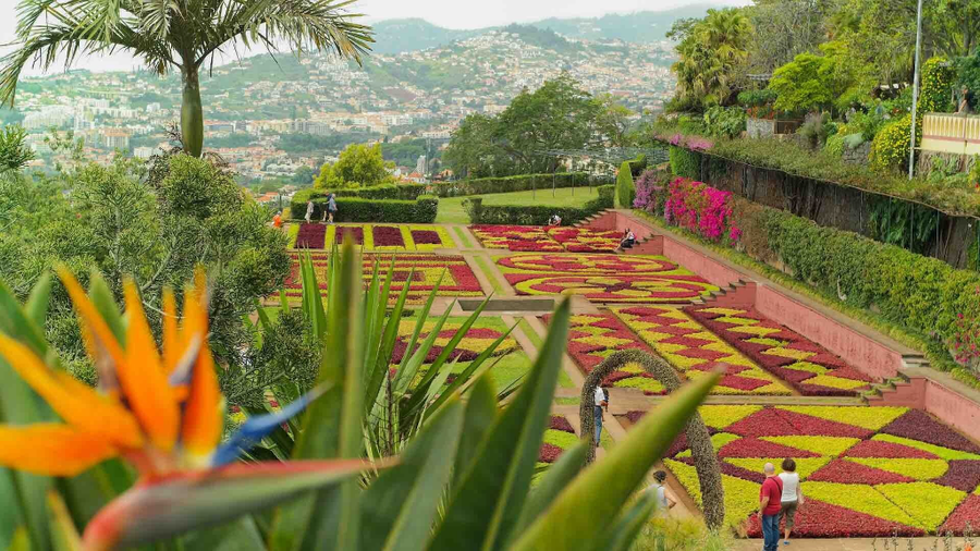 jardin botanico