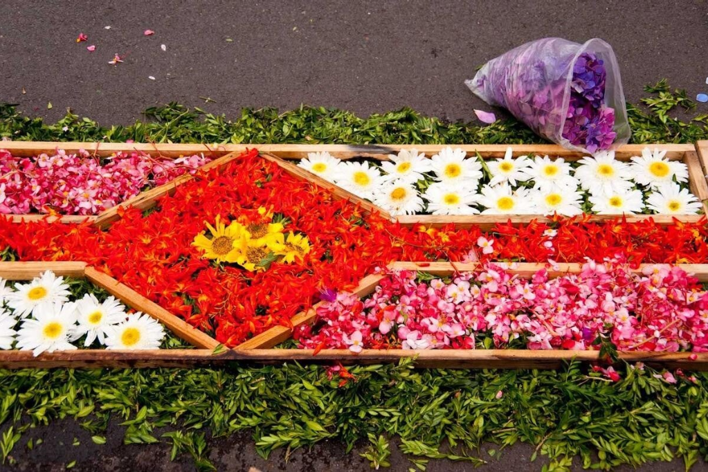 Fiesta de las flores, Funchal Madeira