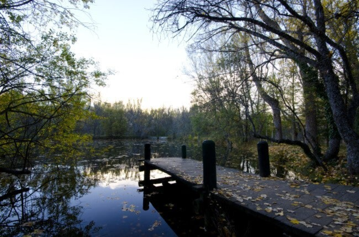 BOSQUE FINLANDÉS DE RASCAFRÍA