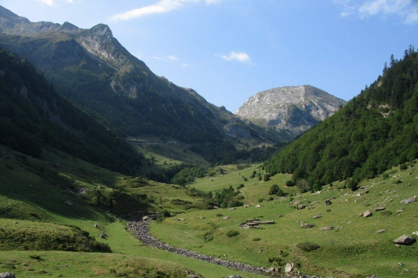 Camino Francés: Roncesvalles – Zubiri