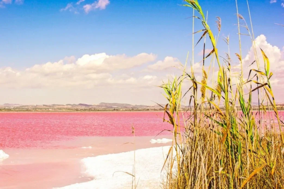 Lagunas de la Mata y Torrevieja