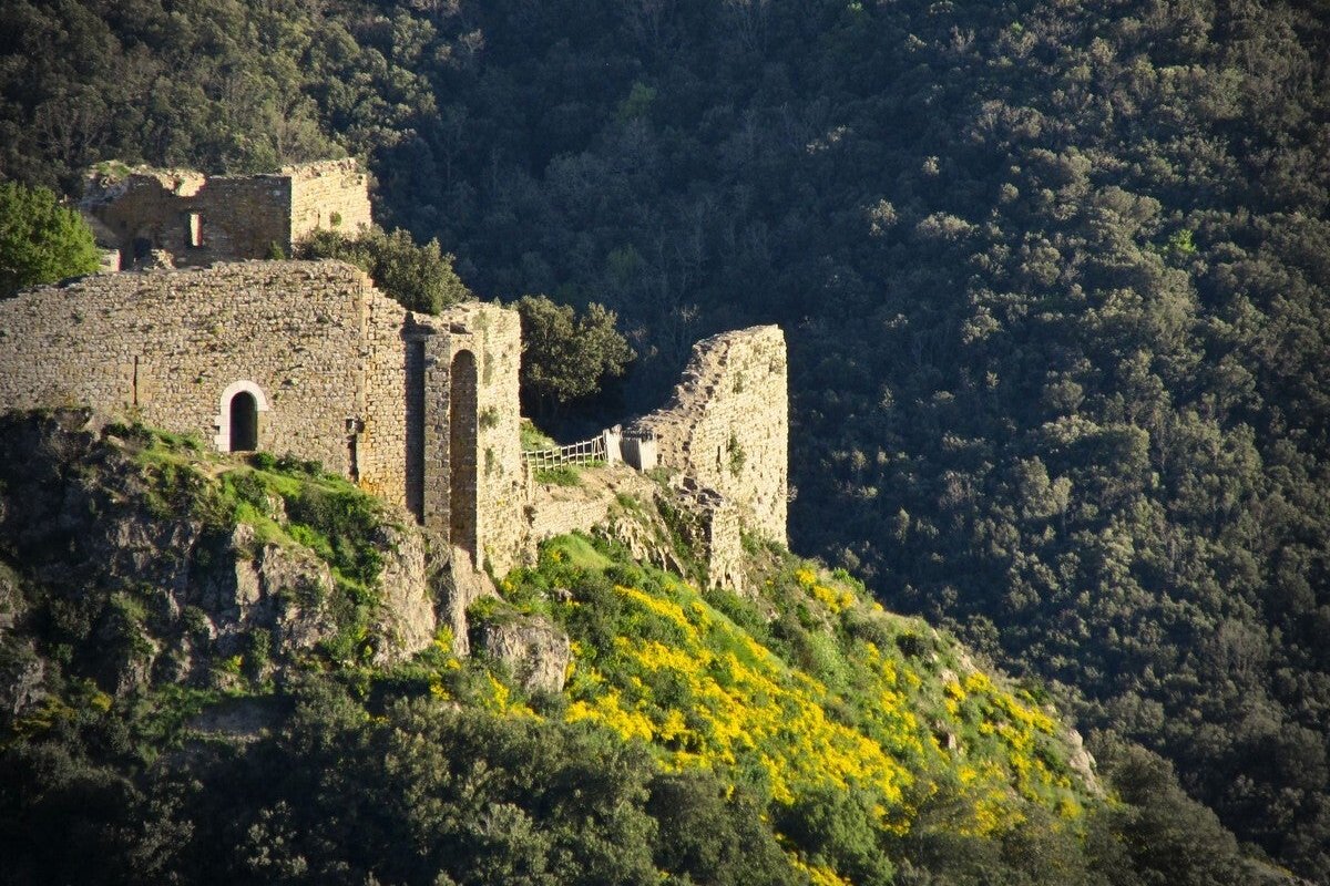 Termes — El castillo salvaje