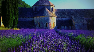 La provenza y campos de lavanda