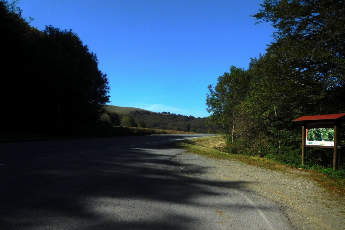 Cómo llegar a Belate, Orgi y Lizaso
