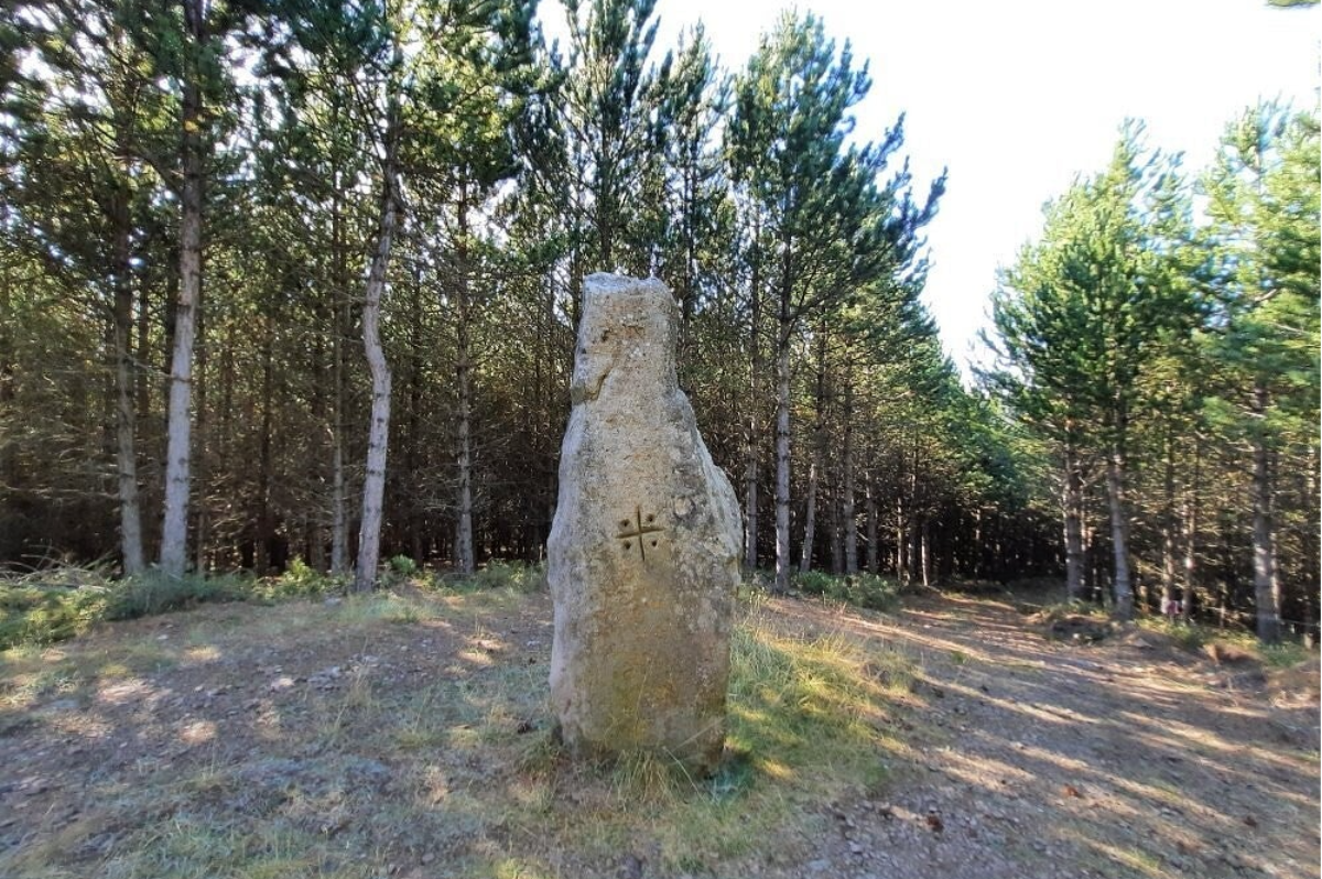 Menhires del Valle de Valdeolea (Cantabria)