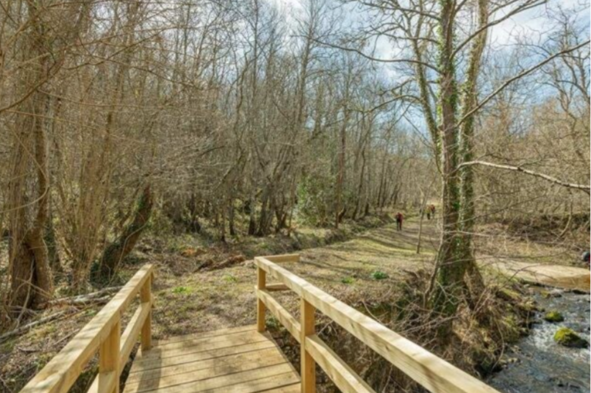 Cascada de las Pisas: Un rincón mágico en el corazón de Las Merindades
