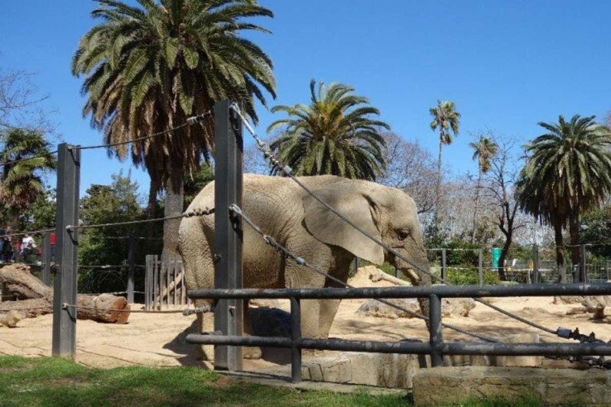Parque de la Ciutadella, Zoo de Barcelona