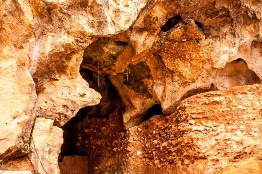 Gran Dolina, Atapuerca