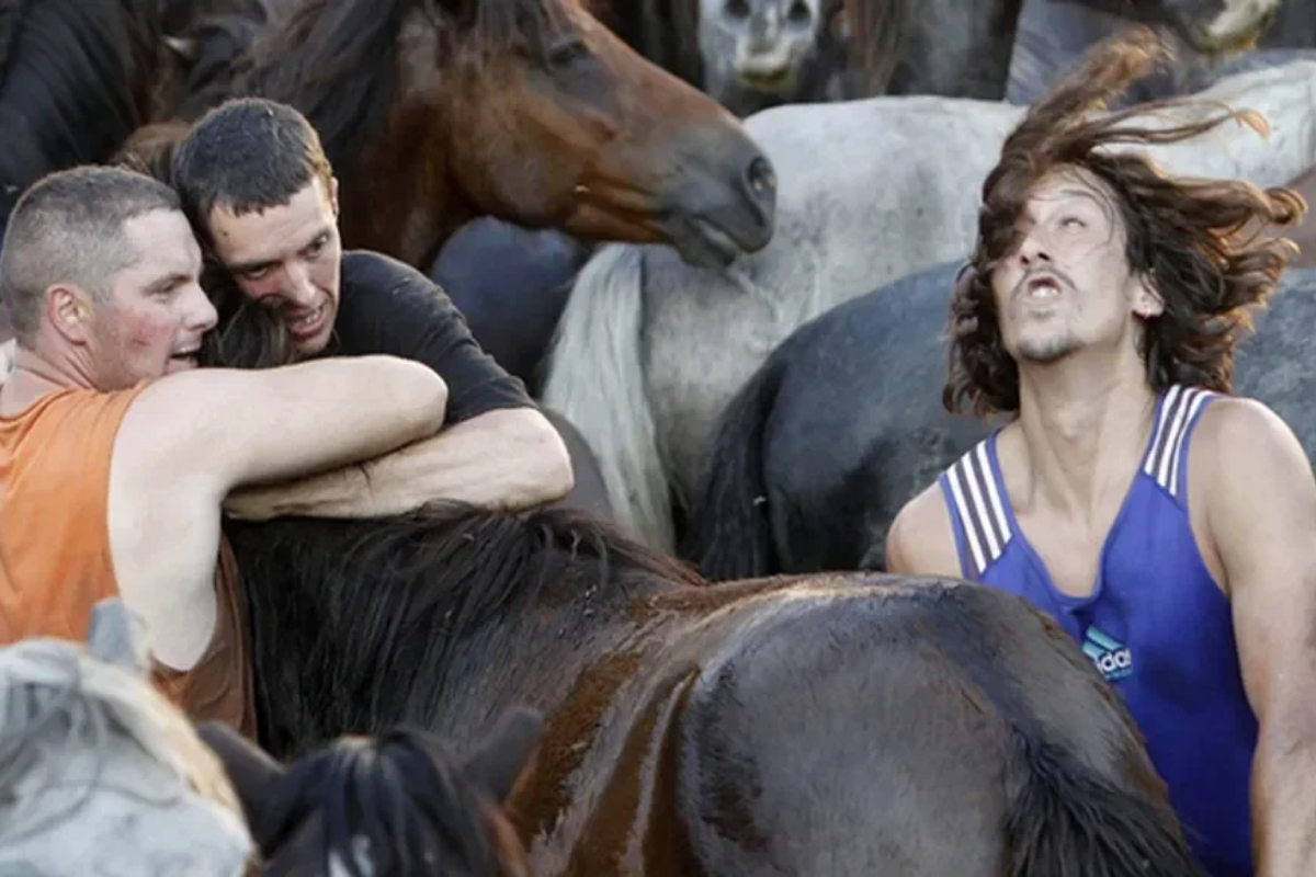 Los aloitadores son los protagonistas de la Rapa das Bestas de Sabucedo