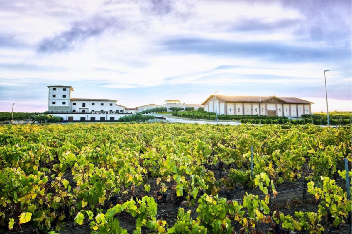 Bodegas y vino de Navarra