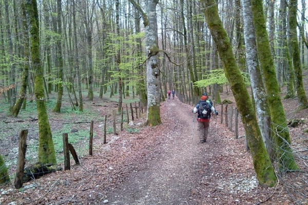 Ruta Roncesvalles – Burguete