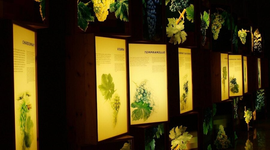 Museo del vino en Olite