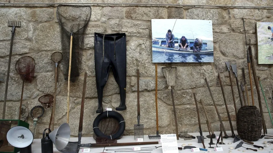 Museo da Salga , O Grove