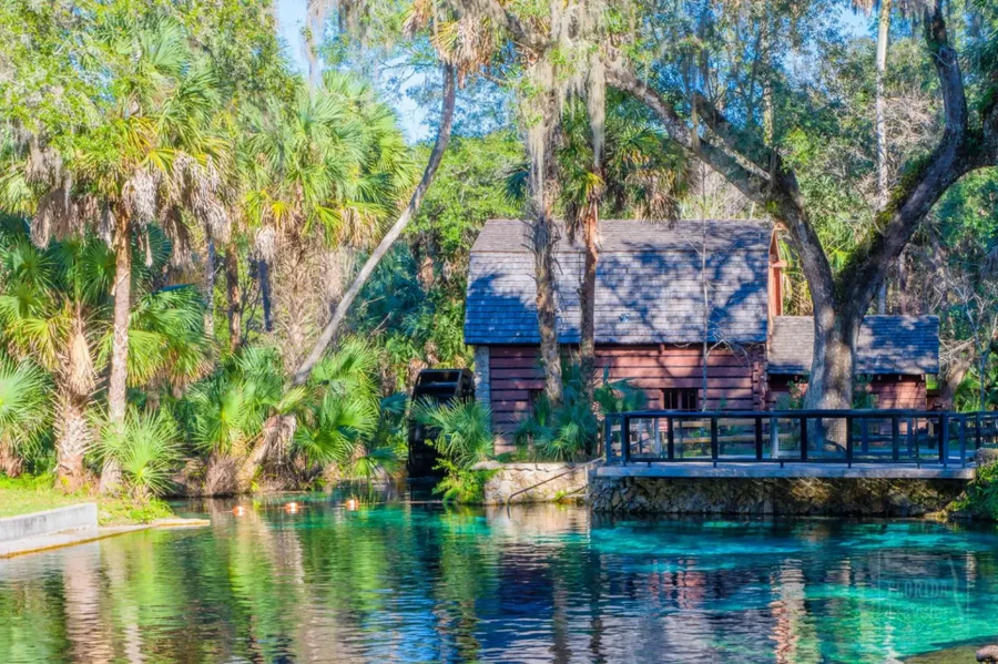 Bosque Nacional de Ocala, Florida