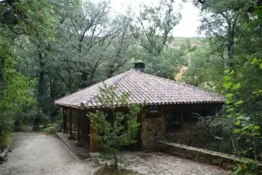 Centro de Información de la Reserva de la Biosfera, Hayedo de Montejo