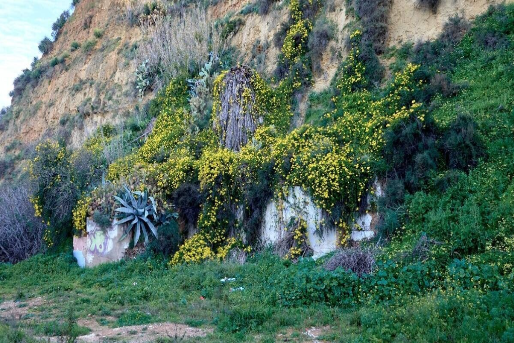 Los Cabezos de Huelva