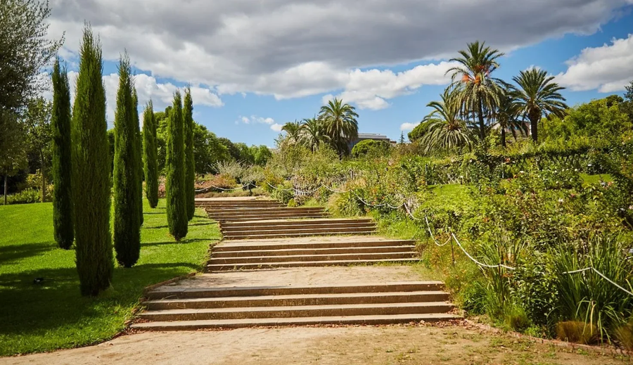 Parque Cervantes: la ciudad florece en silencio