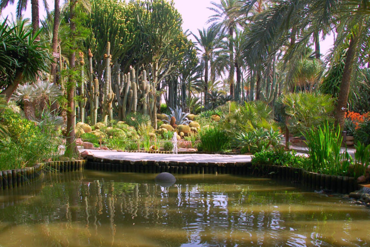 Huerto del Cura, Palmeral de Elche