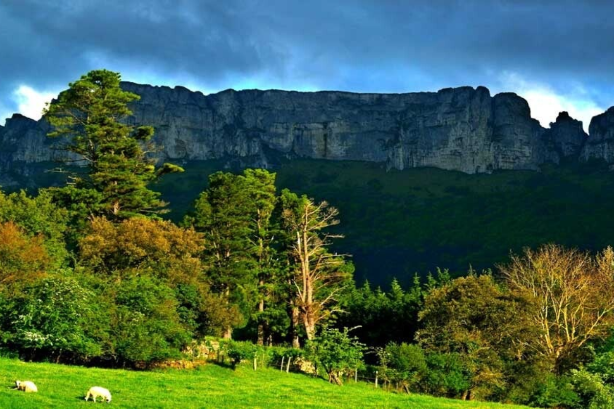 Valle de Mena