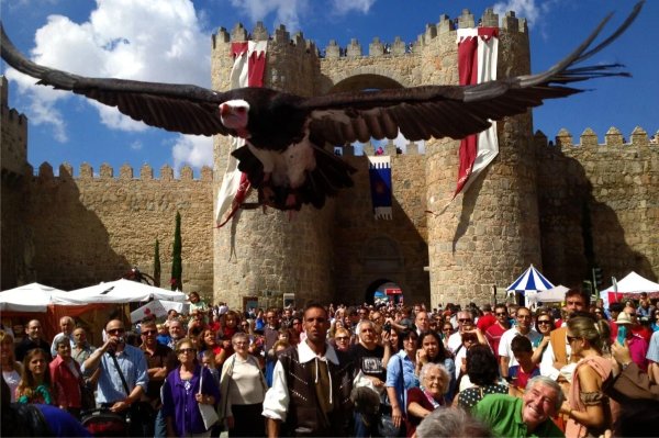 Jornadas Medievales Ávila