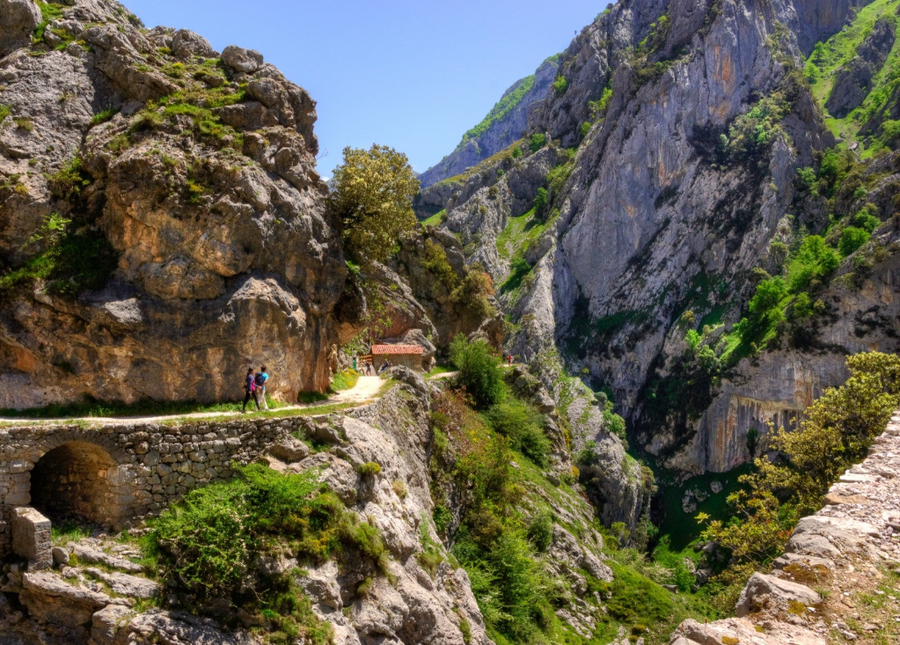 sendero ruta del cares
