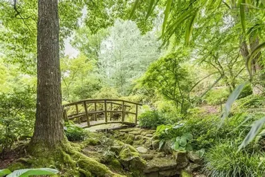 Alter Botanischer Garten Tübingen