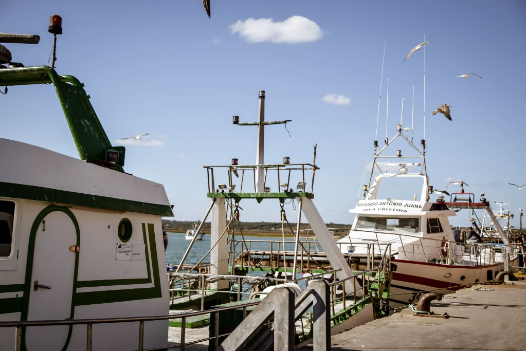 La Lonja, Isla Cristina