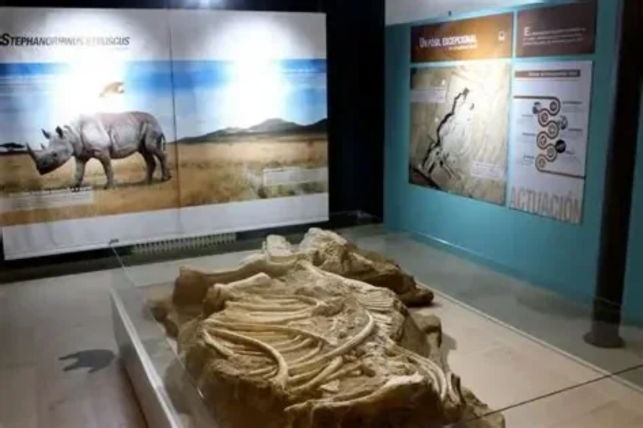 Centro Paleontológico de Enciso