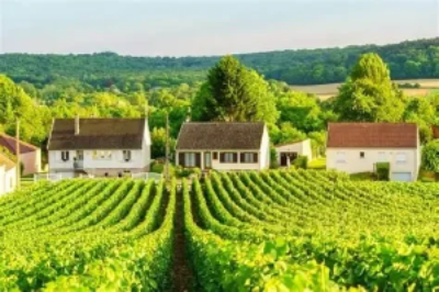 Region de Champagne